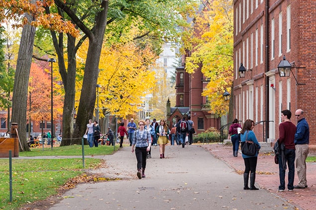 fitting in at a U.S. university